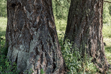 Similar image 20227216