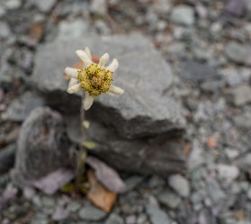 Similar image 20234970