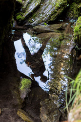 Similar image 20227235