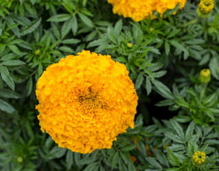 Similar image 20227247