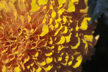 Similar image 20225698