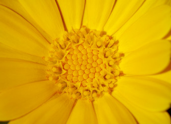 Similar image 20225699