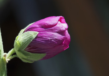 Similar image 20225703