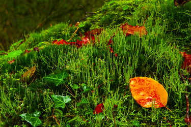 Similar image 20299892