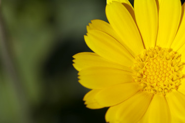 Similar image 20227642