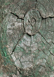 Similar image 20225746