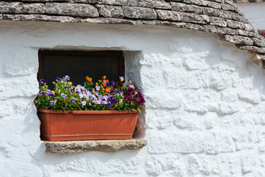 Similar image 20231890