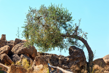 Similar image 20231858