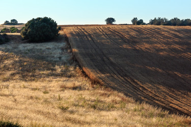 Similar image 20231862