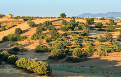 Similar image 20231893