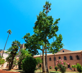 Similar image 20231899