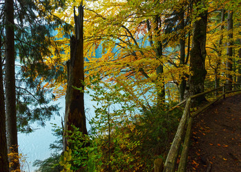 Similar image 20231863