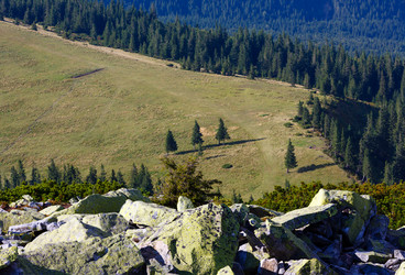 Similar image 20231937