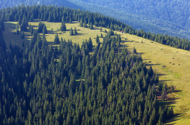 Similar image 20231940