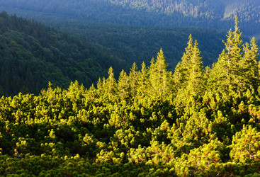 Similar image 20231723