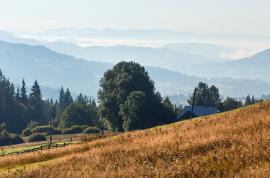 Similar image 20231737