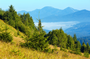 Similar image 20231738