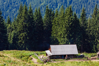 Similar image 20231741