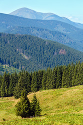 Similar image 20231943