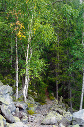 Similar image 20231948