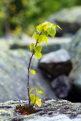 Similar image 20231878