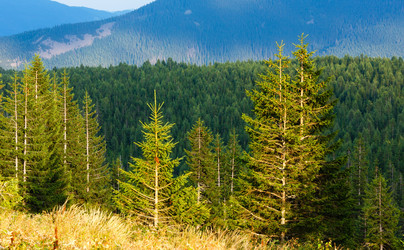 Similar image 20231690