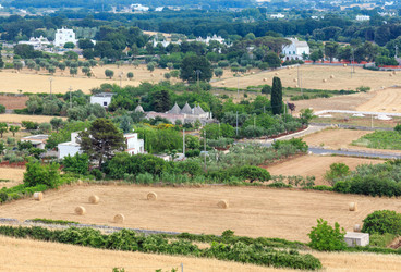 Similar image 20231838