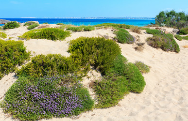 Similar image 20231676