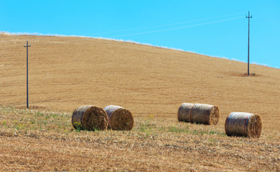 Similar image 20231769