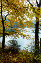 Similar image 20231750