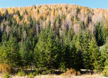 Similar image 20231775