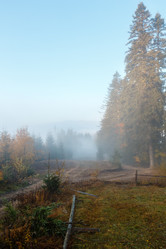 Similar image 20231804