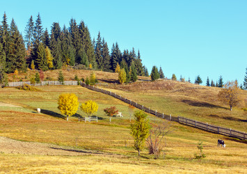 Similar image 20231819