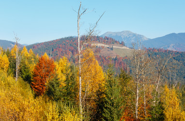 Similar image 20231841