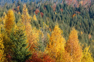 Similar image 20231842