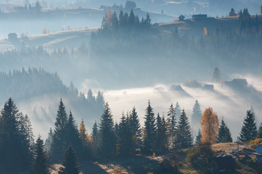 Similar image 20231924