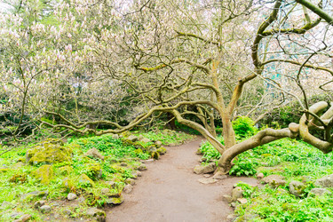 Similar image 20298682