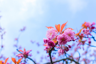 Similar image 20298684