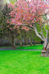 Similar image 20298760