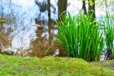 Similar image 20298830