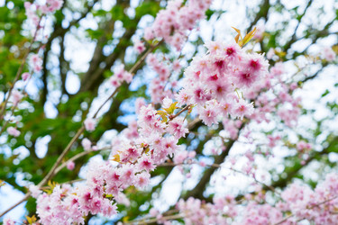 Similar image 20298850