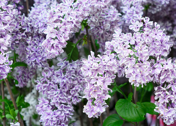 Similar image 20298851