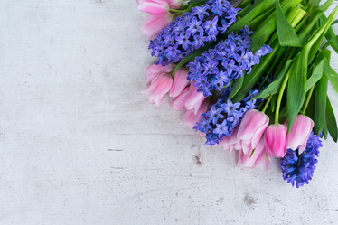 Similar image 20298985