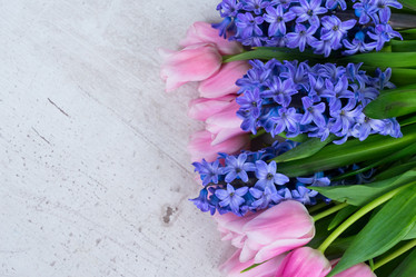 Similar image 20299039