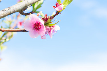 Similar image 20298969