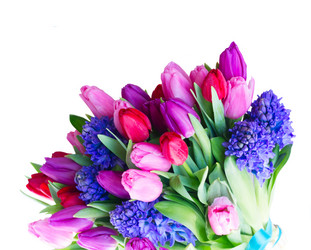 Similar image 20299267