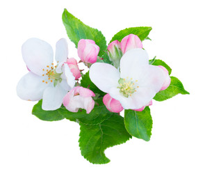 Similar image 20299268