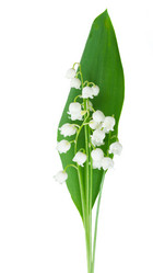 Similar image 20299357