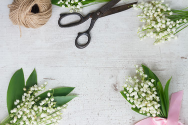 Similar image 20298424