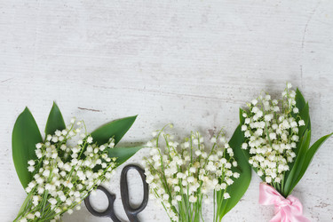 Similar image 20298927